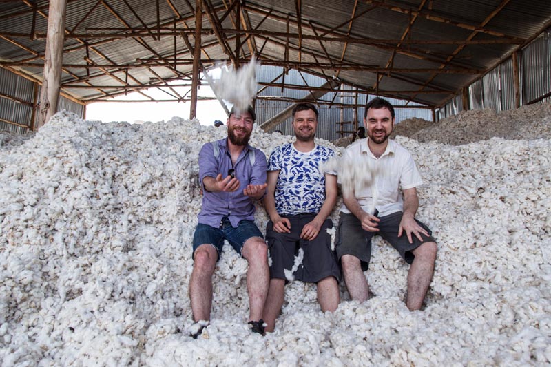 drei Männer sitzen auf einem Berg voll Baumwolle