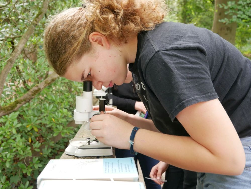 Mädchen schaut durch ein Mikroskop