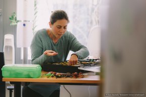 Vorbereitung im Büro: zahlreiche Materialien, darunter auch Krabbeltiere aus Gummi, kommen bei Workshops und Seminaren zum Einsatz. © Dan Zoubek | Netzwerk Grüne Arbeitswelt