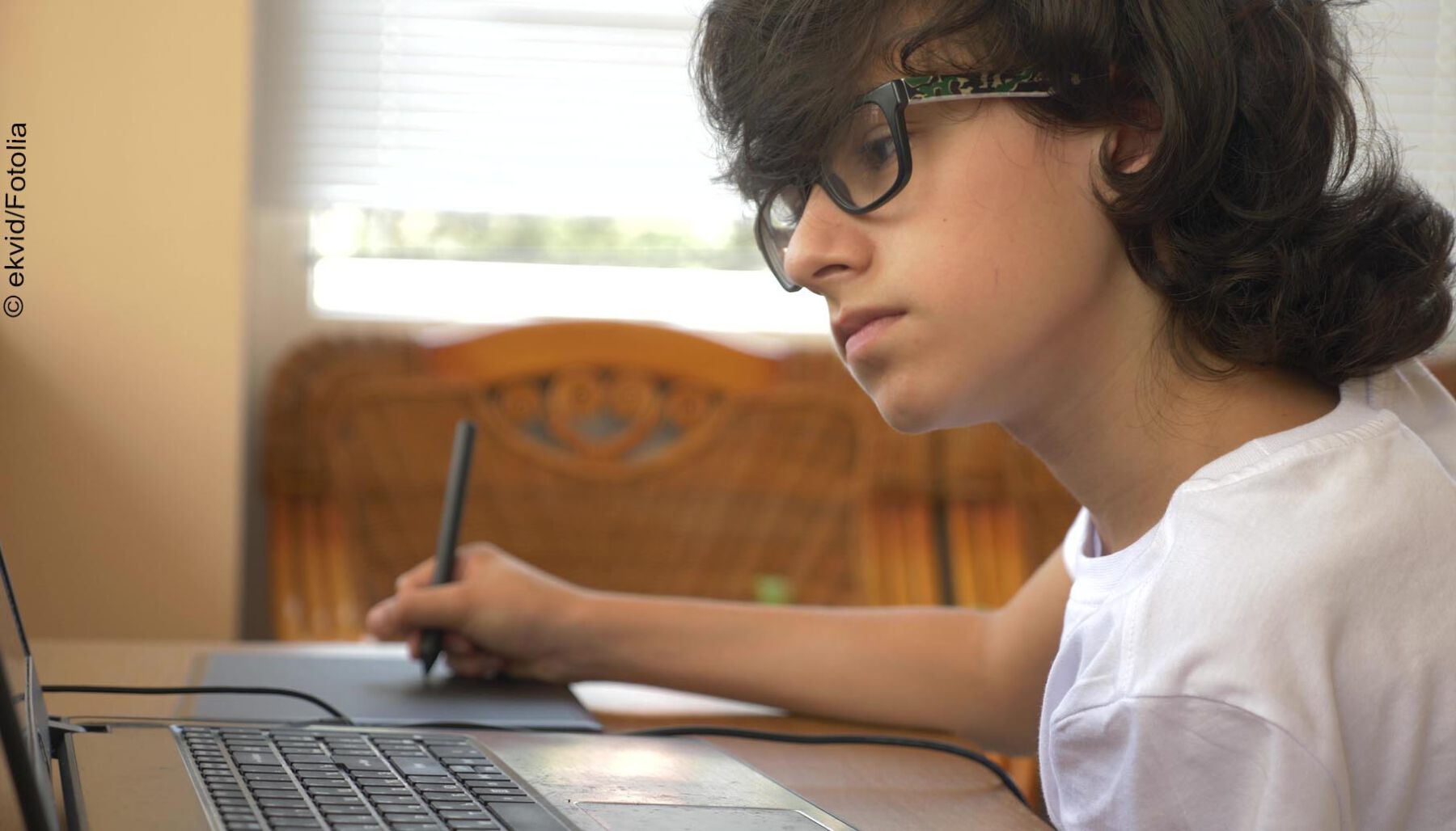 Junge sitzt vor Laptop